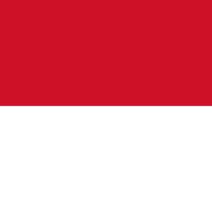 Indonesia Visa Application Support